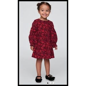 Baby GAP Red Corduroy Floral Print Dress Lined L/S Red Floral 5 Years Toddler